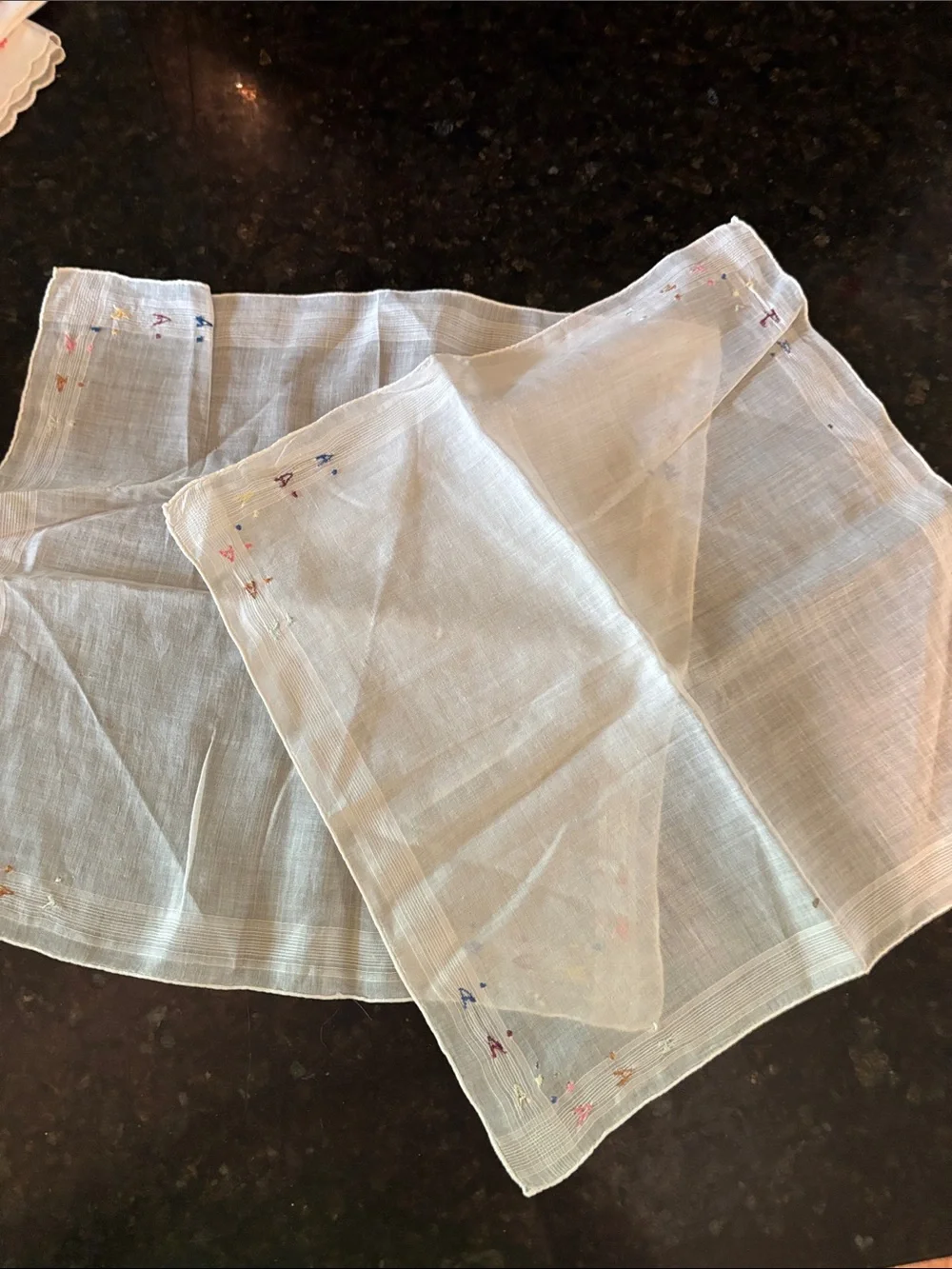 Light Cream Embroidered Cotton Skirt